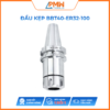 Đầu kẹp dụng cụ BBT40-ER32-100